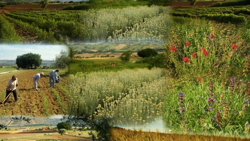 Giardino Officinale